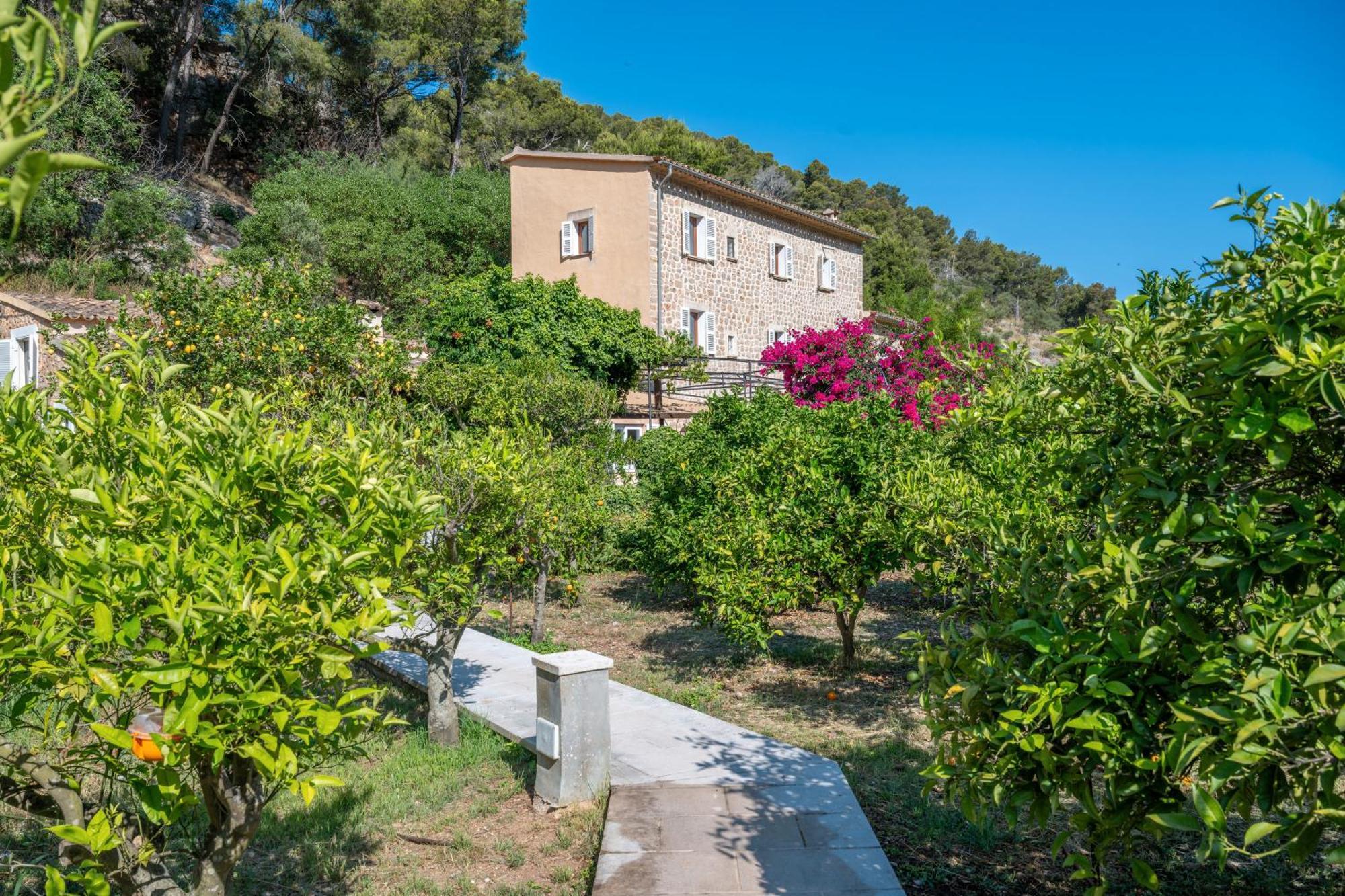Villa Finca Es Coster Des Port Sóller